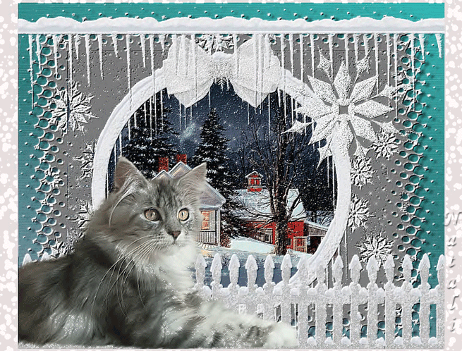 Animowane - zima z kotem1.jpg