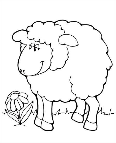 dziecko logo rozwój - sheep12.gif