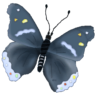 1 Motyle cudo  - schmetter00038.gif