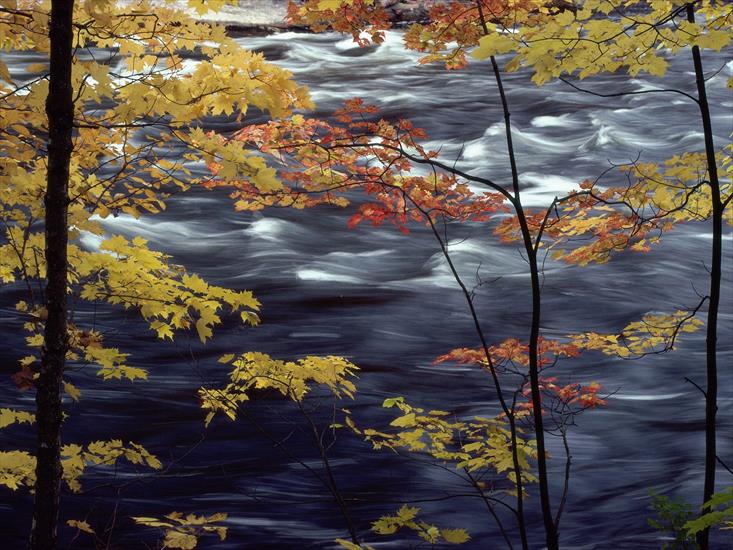 Krajobrazy Natura - Autumn Colors a Rushing River.jpg