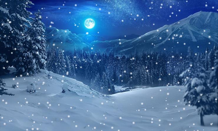 ---    różności   - winter_forest_mountain_snow_moon_nature_hd-wallpaper-562096-SNOW.gif