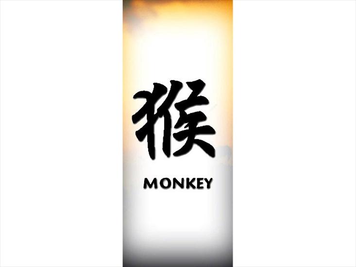 -Chinese Zodiac - monkey.jpg