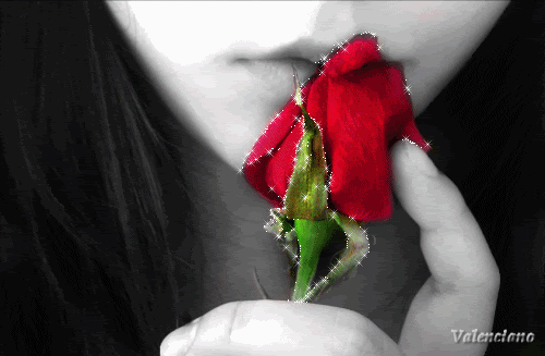 Gify róża róże - ZWIĘDŁA RÓZA-JEDYNA0101.gif