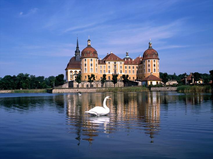 Tapety - Moritzburg Castle Near Dresden, Germany.jpg