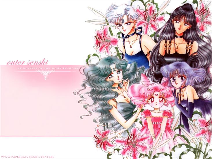 Sailor Moon - Sailor Moon 5.jpg