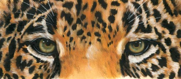 Keith Barbara - eye-catching-jaguar-barbara-keith_003.jpg