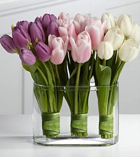 Tulipany - ImagePreview.aspx.jpg