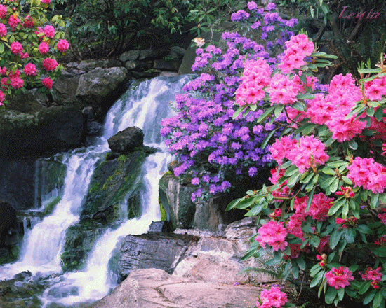 kwiaty2 - wodospad 48751263946hj6191.gif