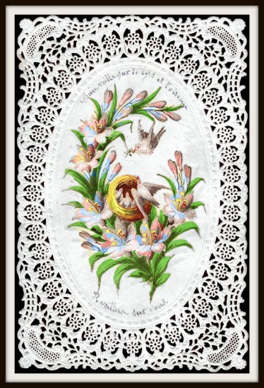 Religion Seria - doves nest lilies-001.jpg