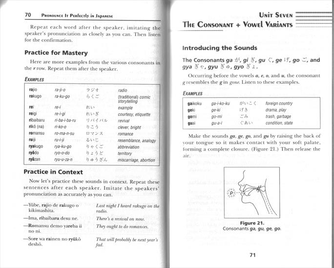 Book - PIP_Japanese_doc17.gif